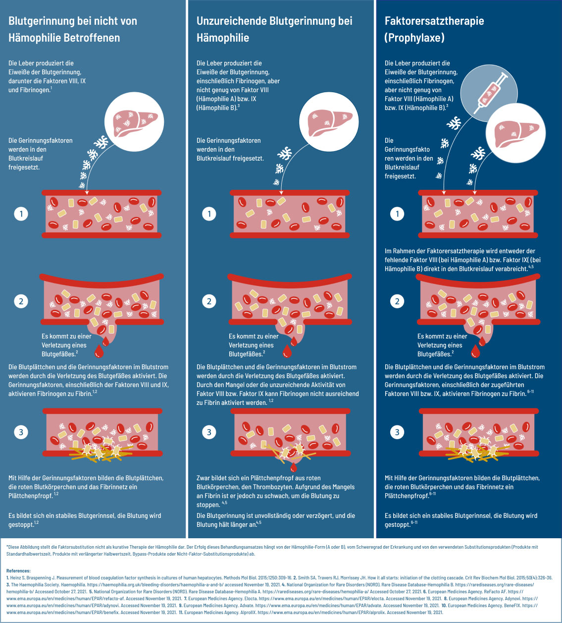 Difference between Normal blood clotting in someone who does not have haemophilia, blood clotting in haemophilia and factor replacement therapy (prophylaxis)
