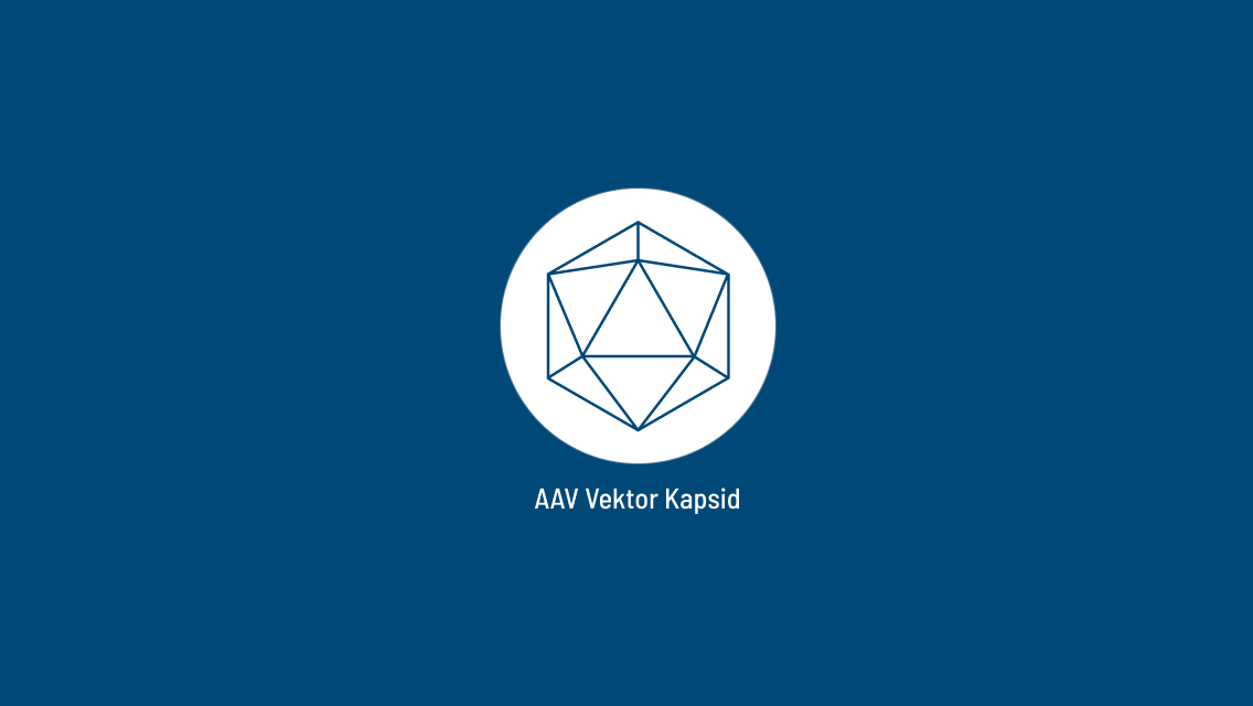 Auswahl des Adeno-assoziierten viralen (AAV) Vektor Kapsid
